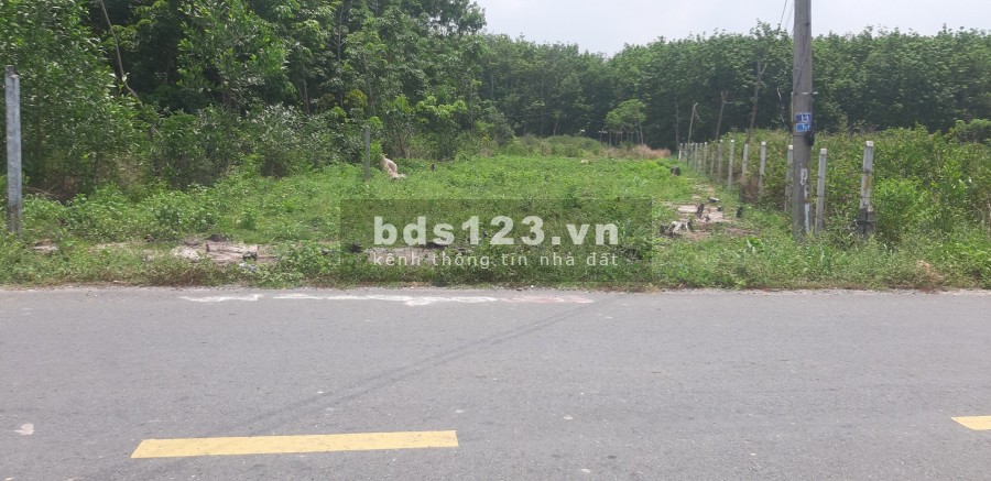 Cần vốn làm ăn nên bán gấp đất ở Bùi Thị Điệt, 525m2, 300m