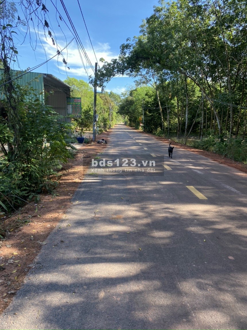 1000m2 đất ở thi xã chơn thành, bình phước giá rẻ sổ sẵn