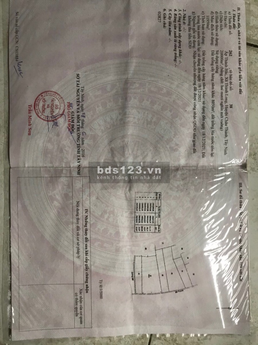 Bán đất chính chủ vườn nhãn xuồng 2 mẫu giá 3.6 tỷ, đường đá đỏ