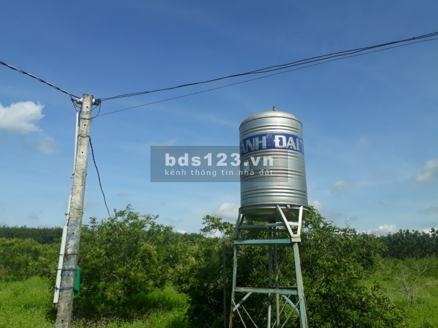 Bán đất chính chủ vườn nhãn xuồng 2 mẫu giá 3.6 tỷ, đường đá đỏ