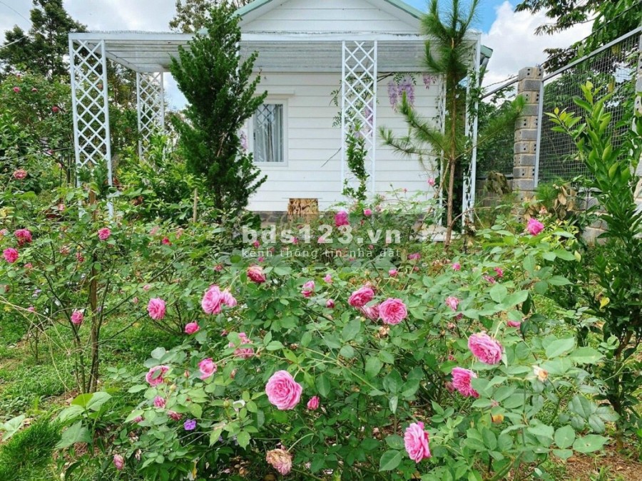 Chính chủ cần bán 100m2 đất biệt thự sổ đỏ ven TP. Nha Trang giá đầu tư 450 triệu