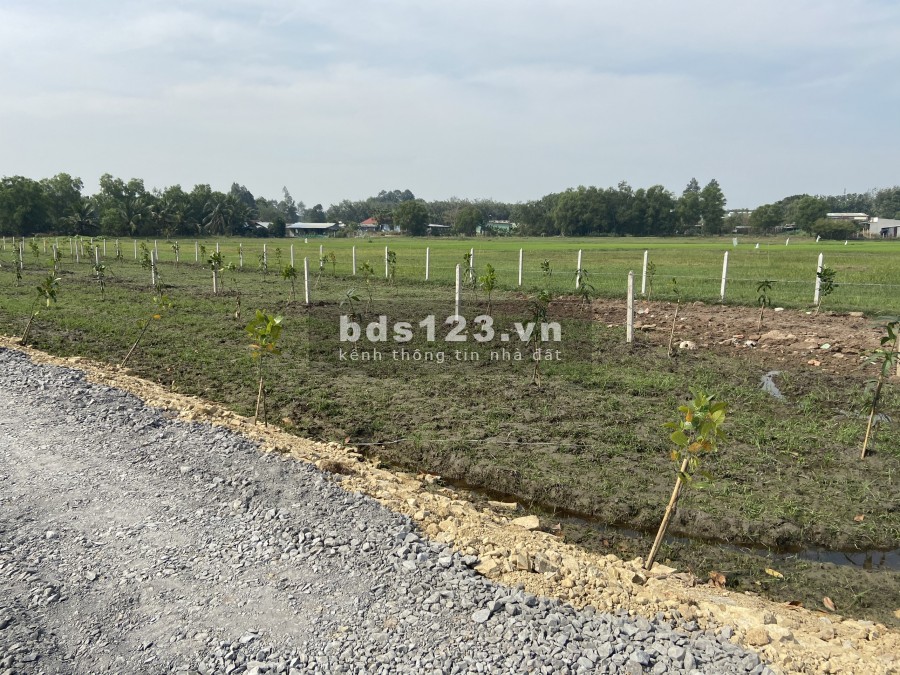 Đất vườn Củ Chi giá rẻ 1053m2 3ty580 2MT đường nhựa, SHR công chứng ngay và nuôn