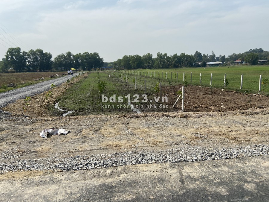 Đất vườn Củ Chi giá rẻ 1053m2 3ty580 2MT đường nhựa, SHR công chứng ngay và nuôn
