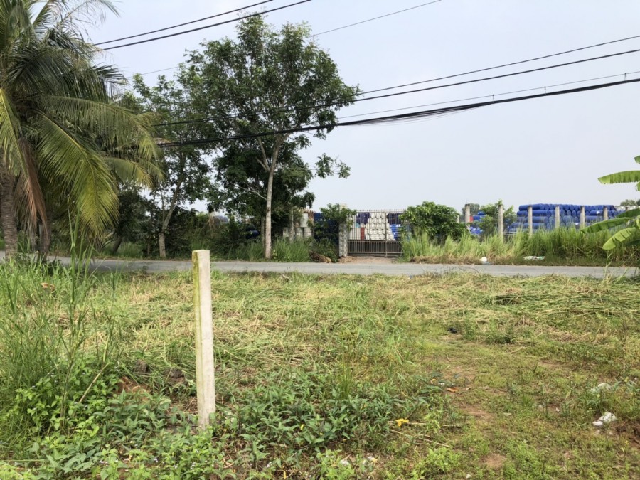 Bán đất 60m ngang mặt tiền đường Tân Long, Tân Nhựt, 1.503m2 giá 20 tỷ