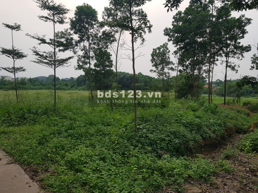 Bán mảnh đất rộng 7.666m2 xã Quyết Thắng, thành phố Thái Nguyên, giá chỉ 1 triệu/m2
