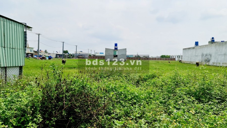 Bán đất rẻ thổ cư 100% diện tích 1322m2, Đức Hòa Hạ, Huyện Đức Hòa Long An