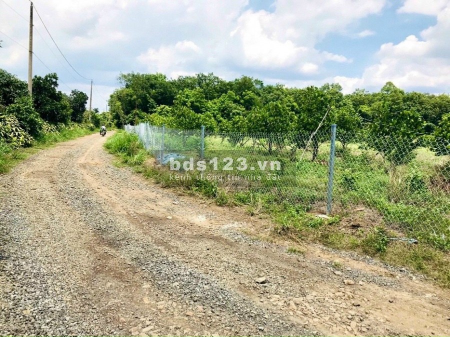 Đất vườn Quốc Lộ 20 gần Khu Công Nghiệp, đã có sổ riêng