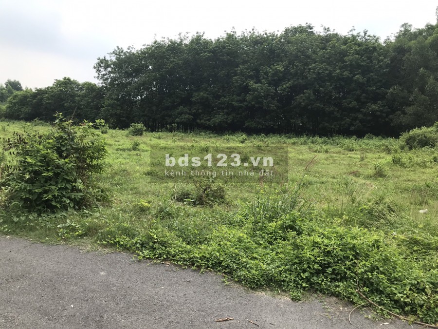 Dịch bệnh làm ăn thua lỗ cần bán gấp đất ở xã Nhuận Đức, 3957m2, 150m thổ cư