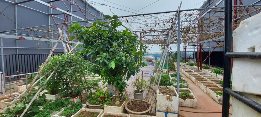 Bán nhà mặt phố Cầu Giấy, 300m2, mặt tiền 30m, chỉ 80 tỷ.