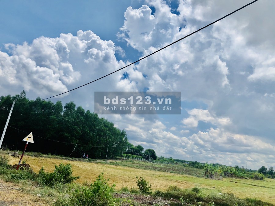 Bán lô đất Núi Thơm-Hồ Đá Bàng với sổ đỏ từng nền