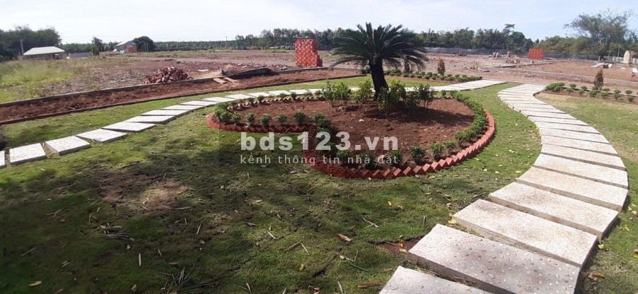 Vợ bầu bì không làm ăn được gì nên bán lô đất thổ cư, SHR, chỉ 750 triệu, cho ai thiện chí