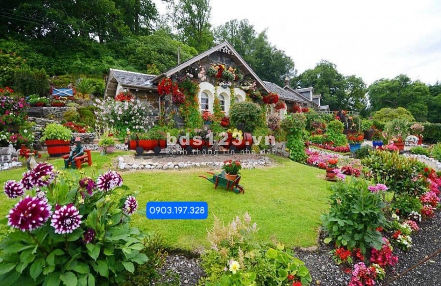 Cả 1 đời người lao động, sống vì con. Lúc xế chiều mà được ở ngôi nhà thế này thì là nhất