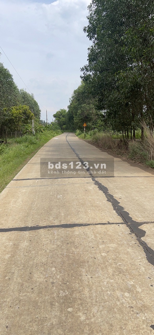 373m2 giá 950 triệu 2 mặt tiền có 50m2 thổ cư, SHR chính chủ 0903.08.01.85