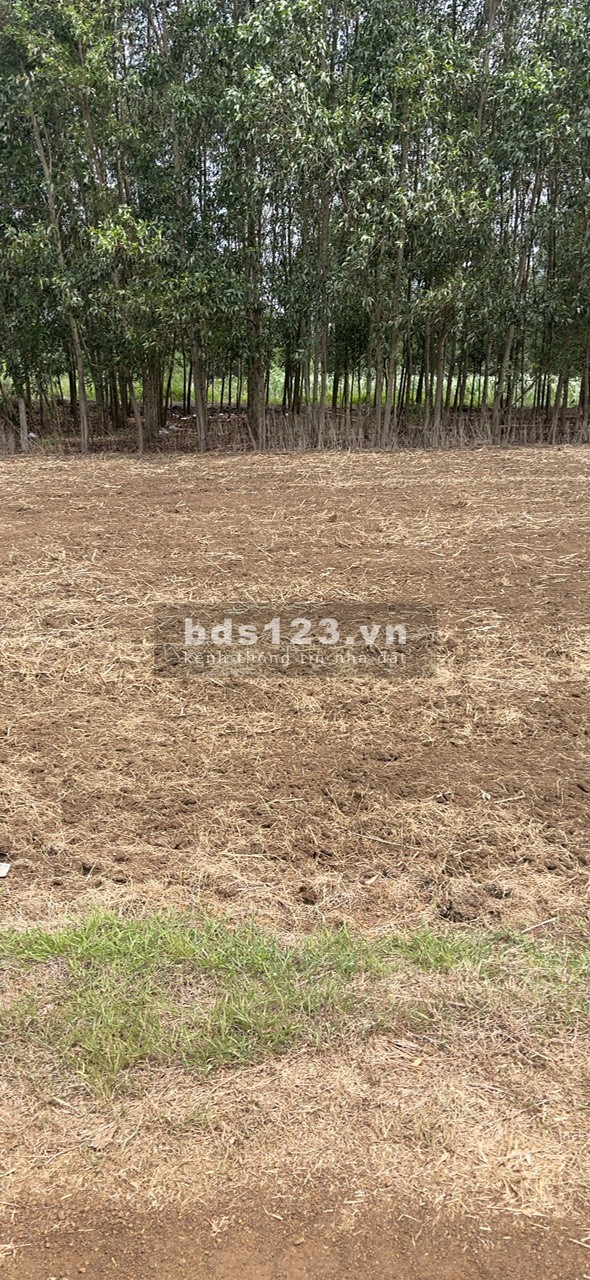 373m2 giá 950 triệu 2 mặt tiền có 50m2 thổ cư, SHR chính chủ 0903.08.01.85