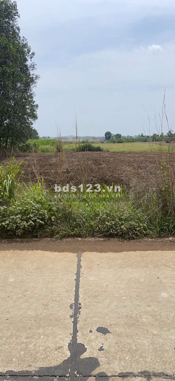 373m2 giá 950 triệu 2 mặt tiền có 50m2 thổ cư, SHR chính chủ 0903.08.01.85