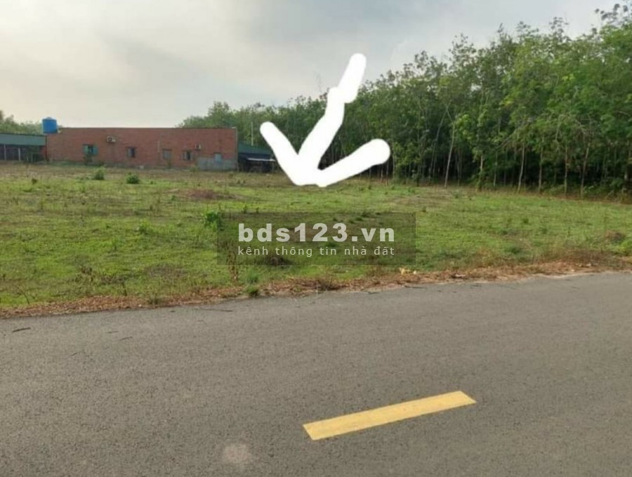 Bán gấp đất gần chợ trường học.số sẵn giá 428 triệu/tháng