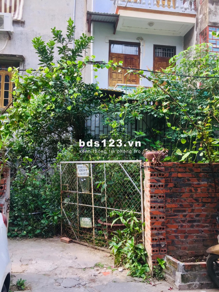 Thuê chung cư mini - khu vườn giữa lòng Hà Nội