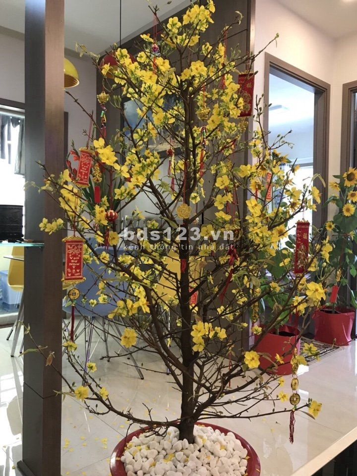 Em chuyên bán chung cư tecco : giỏ hàng đẹp giá tốt chỉ từ 1,5 tỷ căn 2PN- hỗ trợ vay NH 70-80%