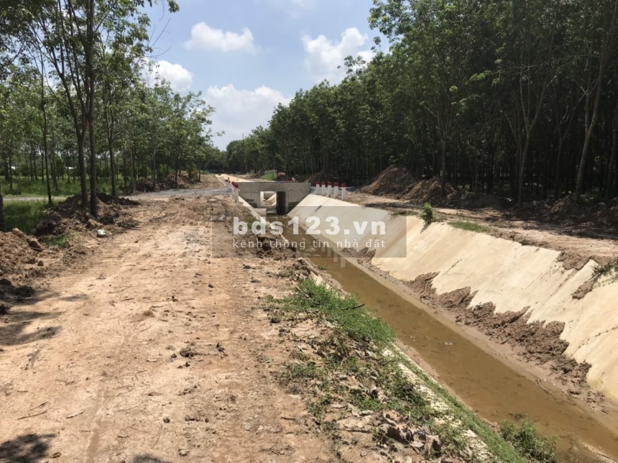 Đất vườn Củ Chi giá đầu tư siêu hời, 311m2 giá 760TR SHR, đất vuông vức tuyệt đẹp