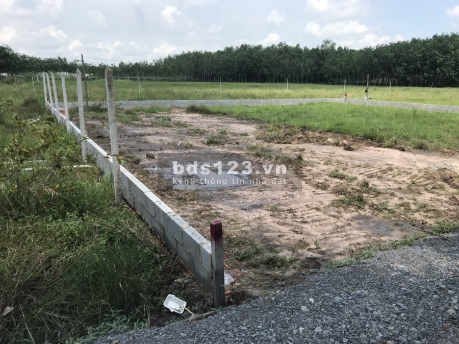 Đất vườn Củ Chi giá đầu tư siêu hời, 311m2 giá 760TR SHR, đất vuông vức tuyệt đẹp