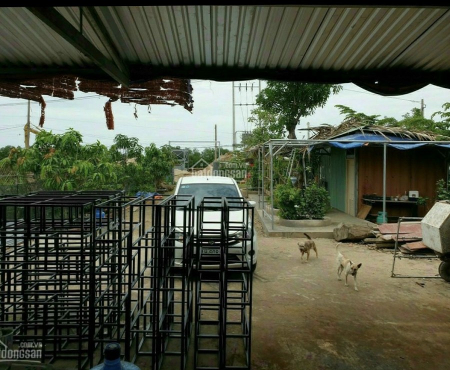 Bán Nhà vườn có sẵn xưởng KDC Long Thới, Nhà Bè 1000m2, giá 7,1 tỷ, Giá 7.1 tỷ +84.943211439 Ms Hải