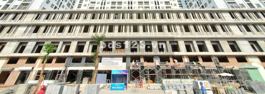 Chung cư Ecolife Quy Nhơn sắp bàn giao tháng 6 năm 2021 giá rẻ từ 1.2 tỷ