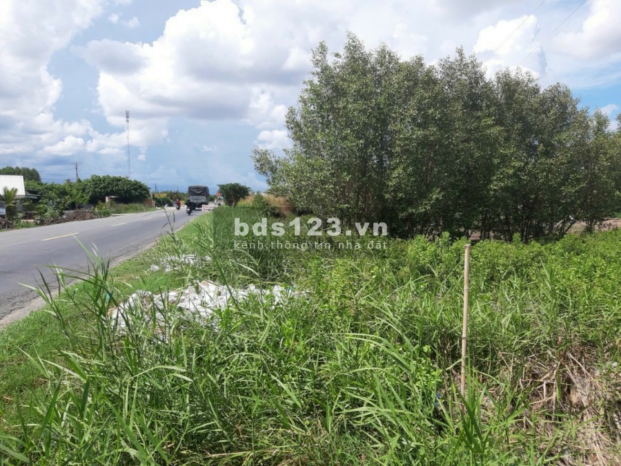 Mã tin 392 Vị trí đất đẹp, có nhà kiên cố và ĐẤT tại Lộc Hoà, Long Hồ, Vĩnh Long với: - Diện tích: 9 * 245 = 2 205 m².