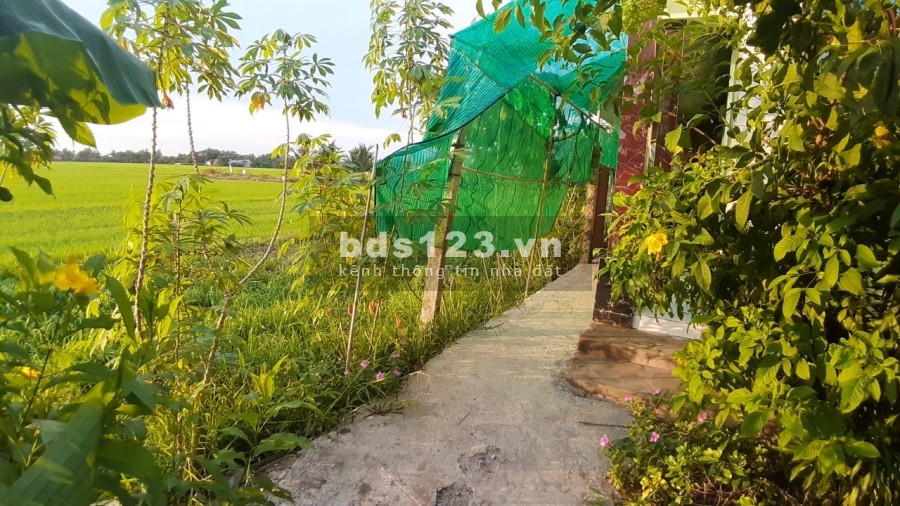 Mã tin 392 Vị trí đất đẹp, có nhà kiên cố và ĐẤT tại Lộc Hoà, Long Hồ, Vĩnh Long với: - Diện tích: 9 * 245 = 2 205 m².