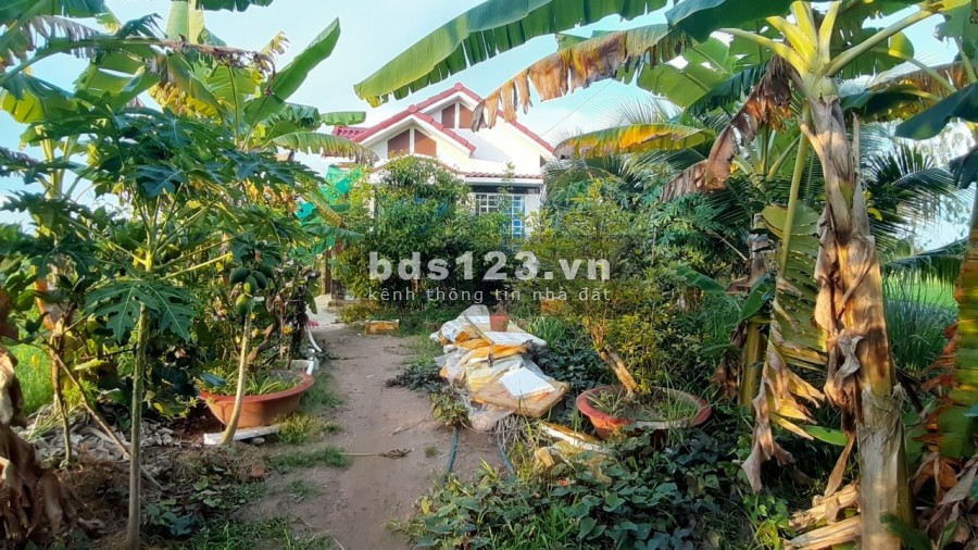 Mã tin 392 Vị trí đất đẹp, có nhà kiên cố và ĐẤT tại Lộc Hoà, Long Hồ, Vĩnh Long với: - Diện tích: 9 * 245 = 2 205 m².