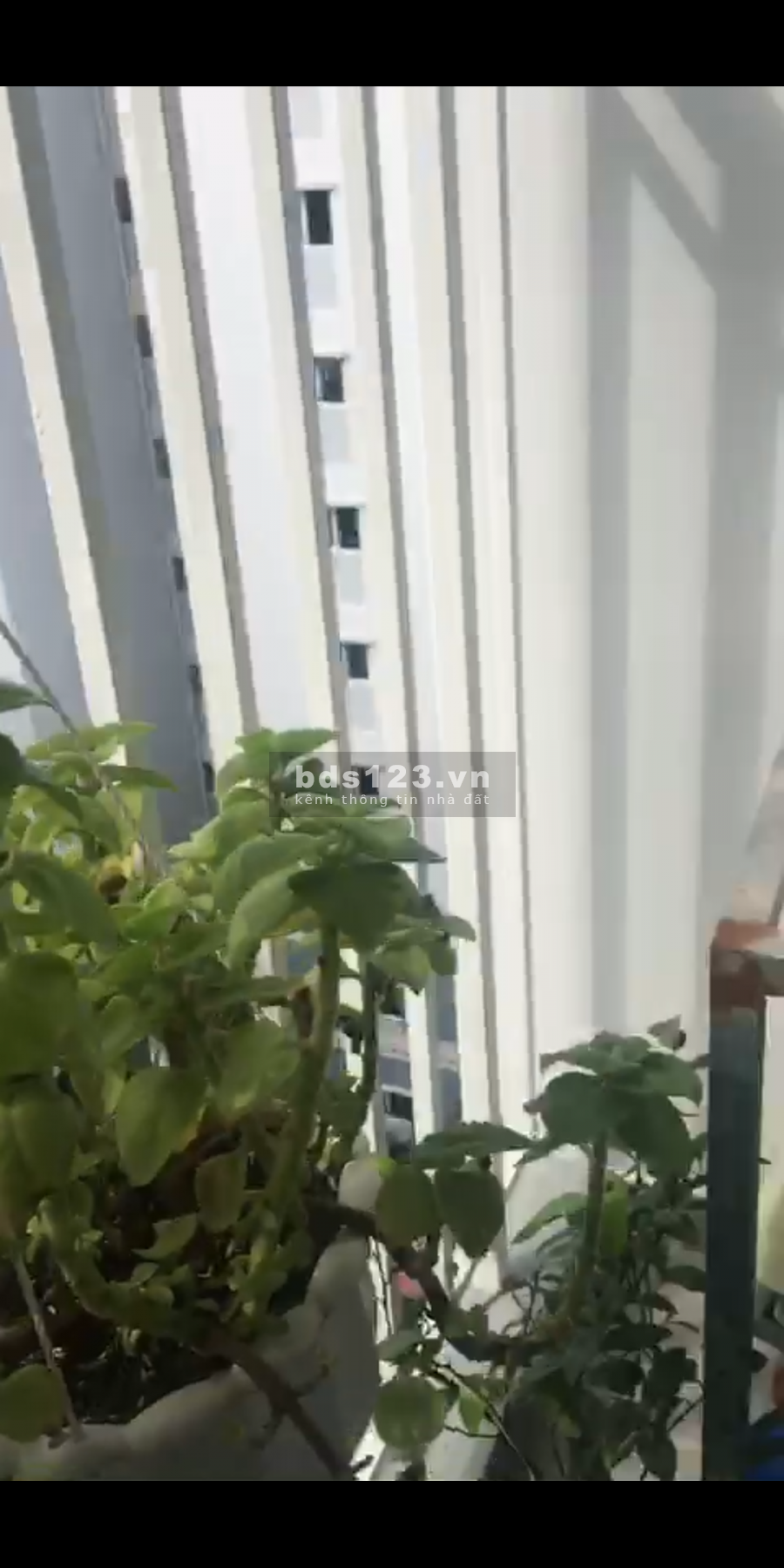 Căn hộ Ehome S Q.9 Đỗ Xuân Hợp