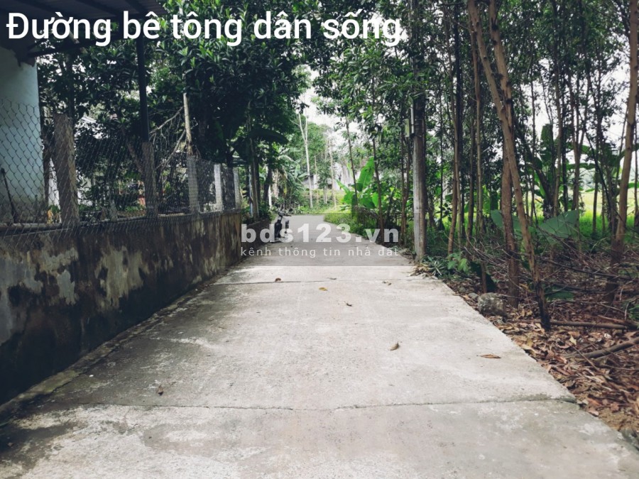 Đât trồng cây 830m2 đường bê tông 4m dân đông chỉ 650tr