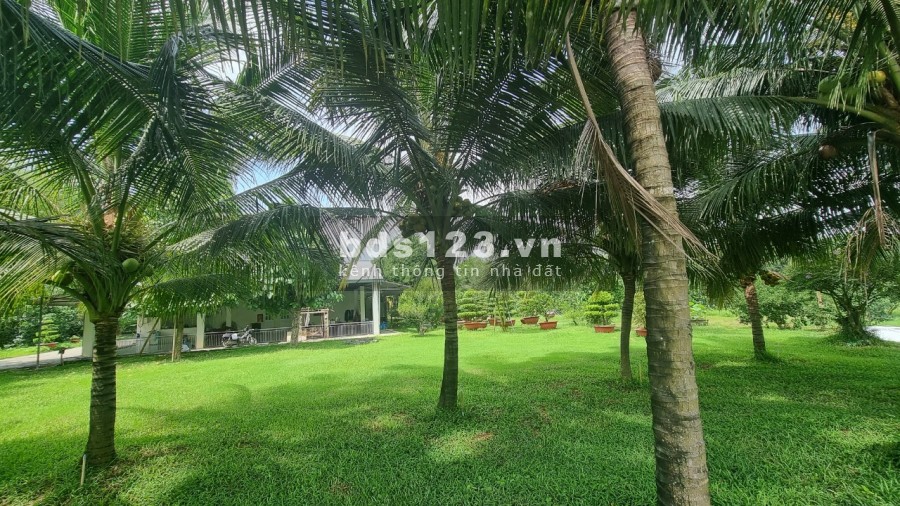 Bán nhà vườn nghỉ dưỡng 20000m2 Thạnh Phú Vĩnh Cửu gần hương lộ 15
