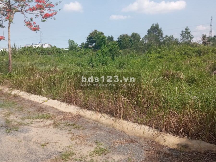 Đất nền mặt tiền đường DT826 cần bán nhanh, khu dân cư hiện hữu xây dựng tự do