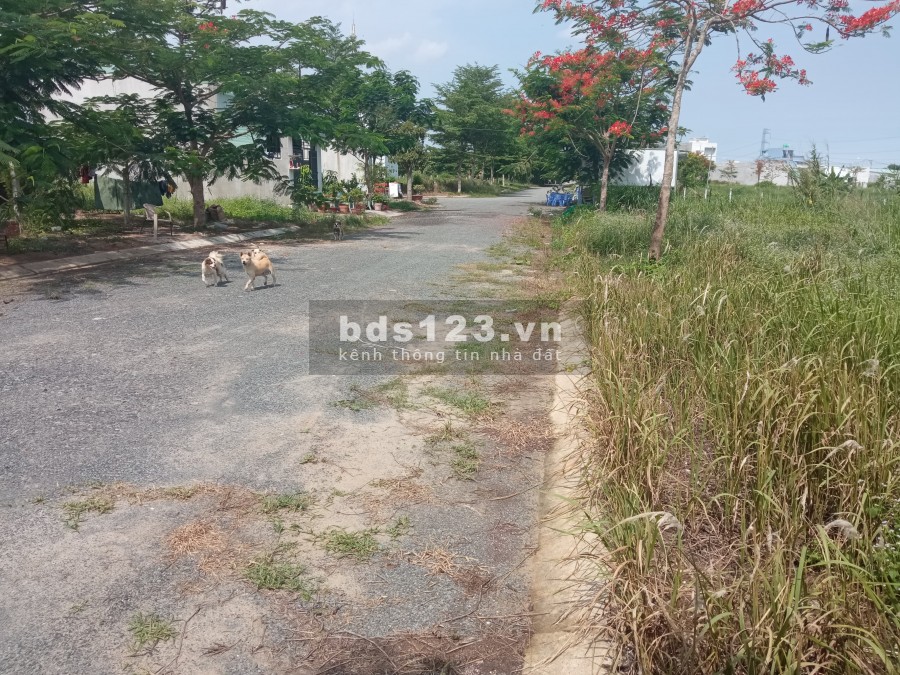 Đất nền mặt tiền đường DT826 cần bán nhanh, khu dân cư hiện hữu xây dựng tự do