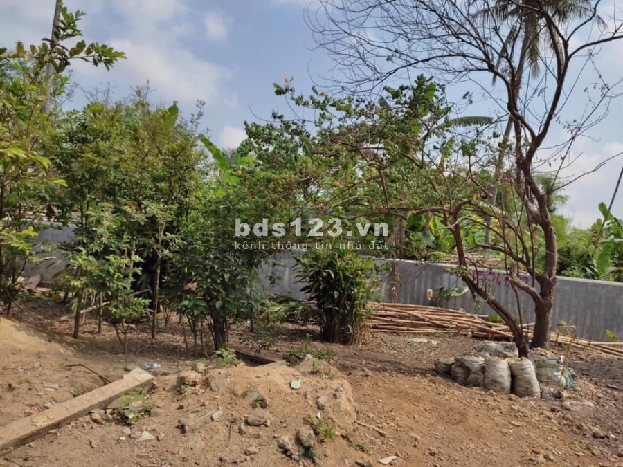 Đất kiệt ô tô Nguyễn Sinh Cung, phường Vỹ Dạ tp Huế, chỉ 1.7xx tỷ, lh 0702788074