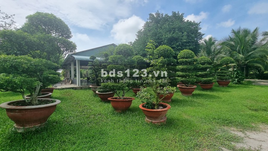 Bán nhà vườn nghỉ dưỡng 20000m2 Thạnh Phú Vĩnh Cửu gần hương lộ 15