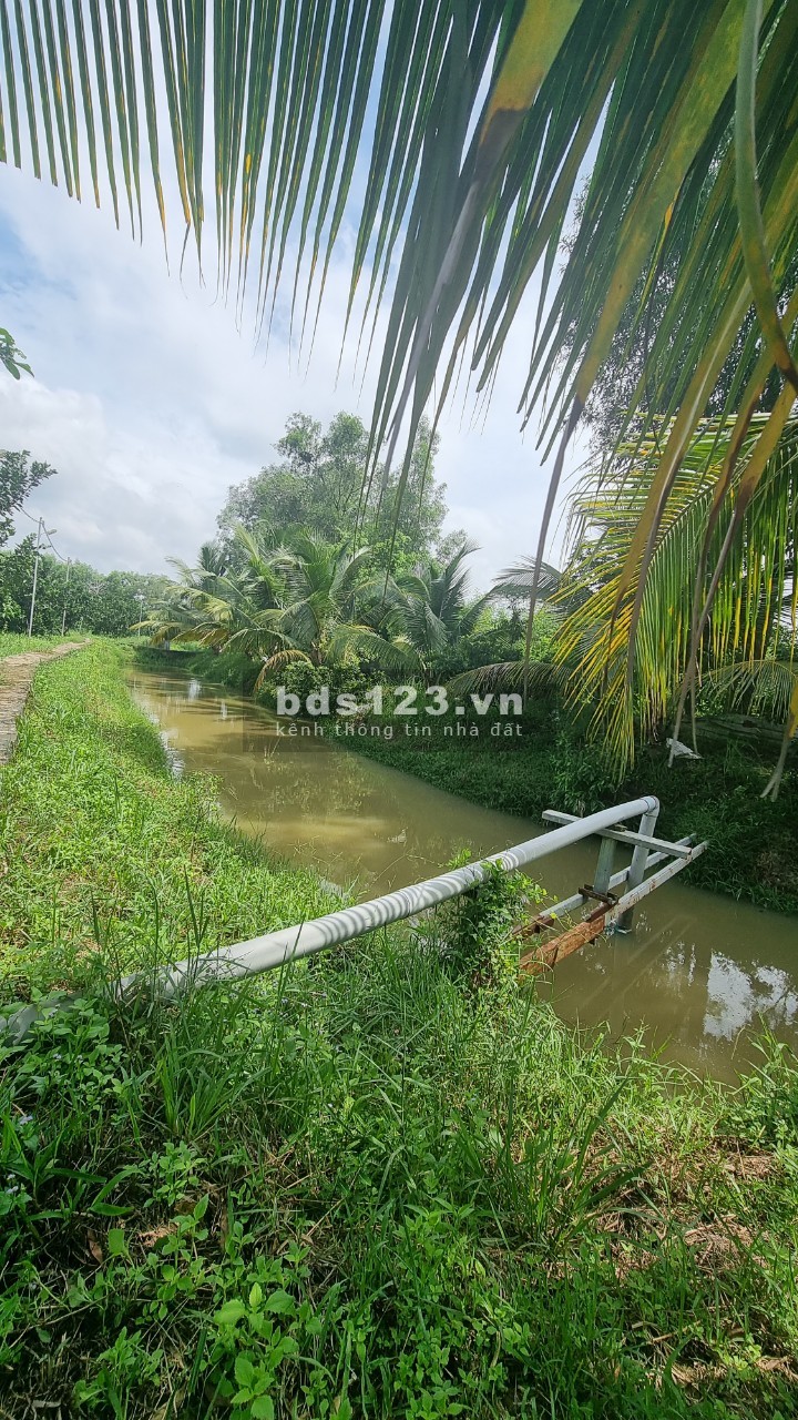 Bán nhà vườn nghỉ dưỡng 20000m2 Thạnh Phú Vĩnh Cửu gần hương lộ 15