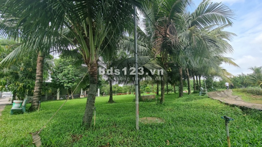Bán nhà vườn nghỉ dưỡng 20000m2 Thạnh Phú Vĩnh Cửu gần hương lộ 15