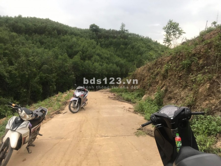 Bán đất làm trang trại 10ha thị trấn Khánh Vĩnh giá rẻ LH 0788.558.552