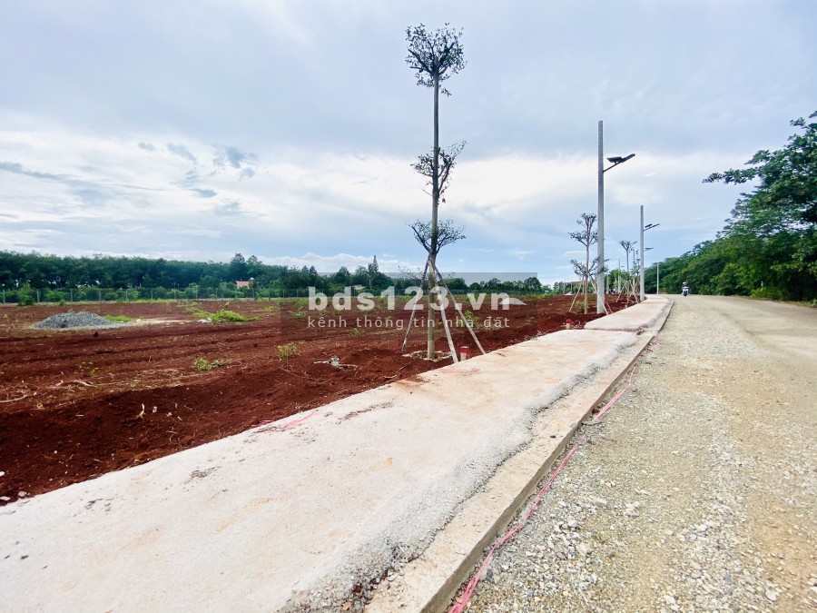 Bán gấp lô đất 228m2 nằm ngay trung tâm P. Hắc Dịch, giá đầu tư F0. Lh 0393 760 544