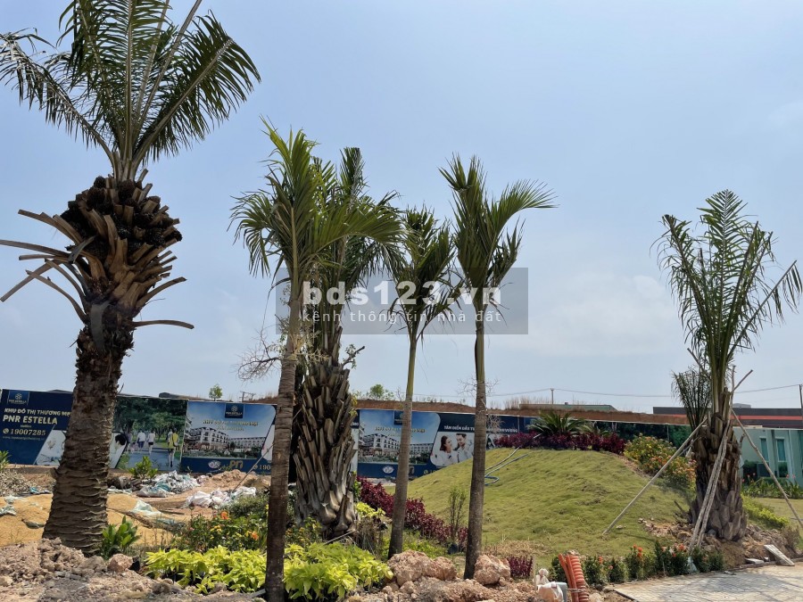 Dự án khu đô thị thương mại PNR ESTELLA