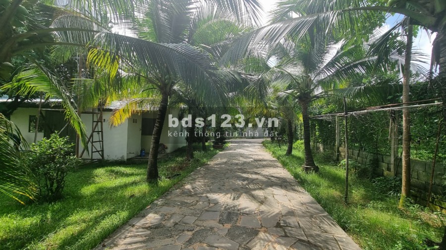 Bán nhà vườn nghỉ dưỡng 20000m2 Thạnh Phú Vĩnh Cửu gần hương lộ 15