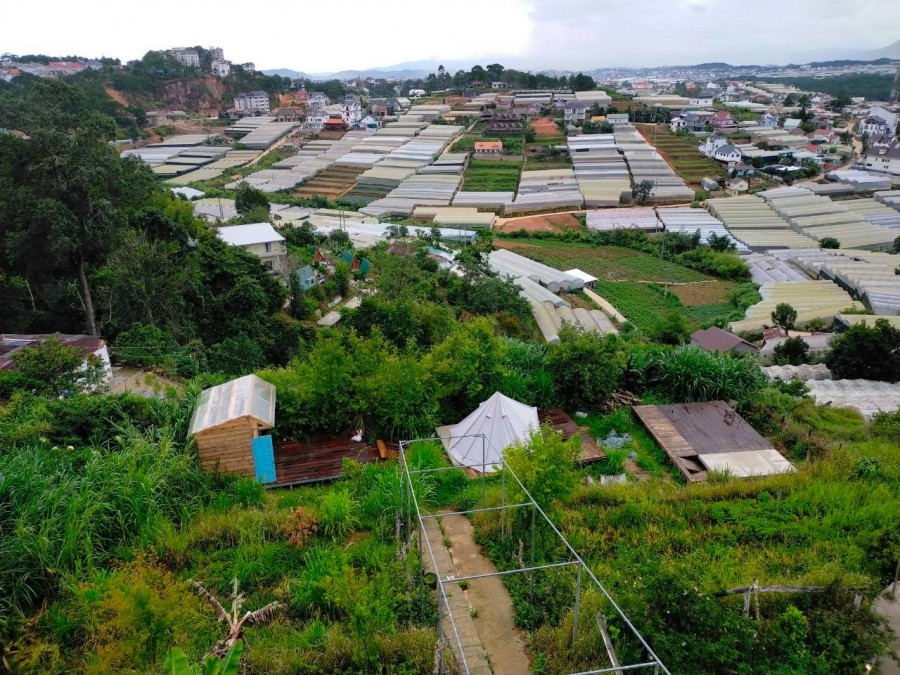 Windy Hill- Bán Homestay- Coffee P11, Đà Lạt, dt 2.860, hỗ trợ vay…