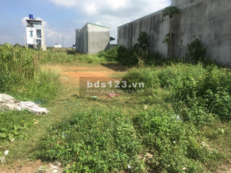 Bán nhanh mùa dịch lô đất SHR 5*25M2 Bình Chánh
