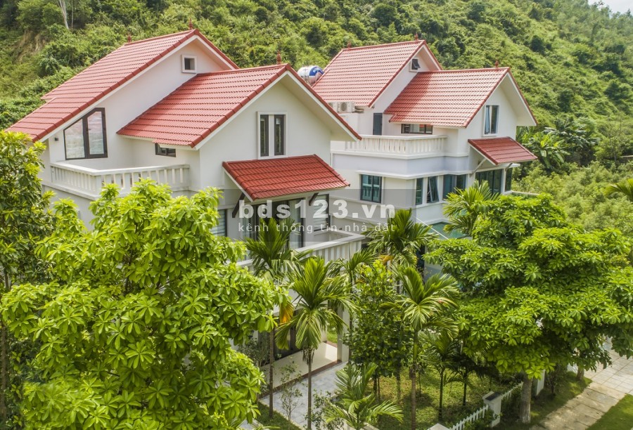 Phân khu Đồi Xanh Thịnh Vượng - Xanh Villas chính thức ra hàng. Liên hệ ngay để được tư vấn, đặt cọc