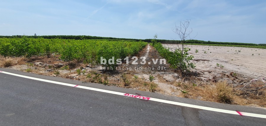 Đất giá rẻ mùa dịch chỉ 780tr/lô sẵn 100m2 thổ cư,Sổ riêng cách sân bay Lộc An 500m. Giá F0 6tr3/m2