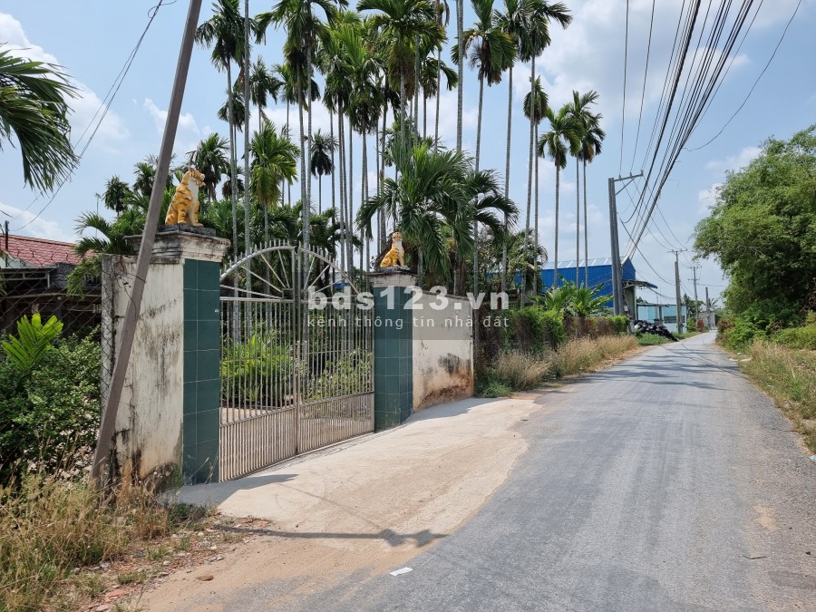 Bán nền đất giá rẻ 5x26 thổ cư 100% giá 1 tỷ 100 triệu, xã Đức Hòa Hạ, Đức Hòa, Long An