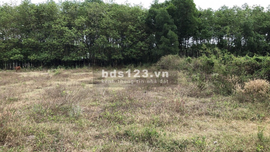 Bán lô đất mặt tiền đường Bàu Lách, 1632m2, 5tỷ650