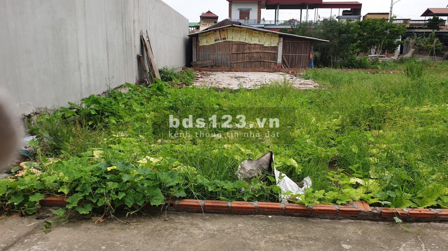 Bán 3 lô đất giá rẻ Đình Trung, Xuân Nộn, Đông Anh, Hà Nội