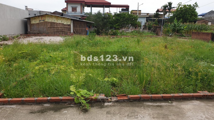 Bán 3 lô đất giá rẻ Đình Trung, Xuân Nộn, Đông Anh, Hà Nội
